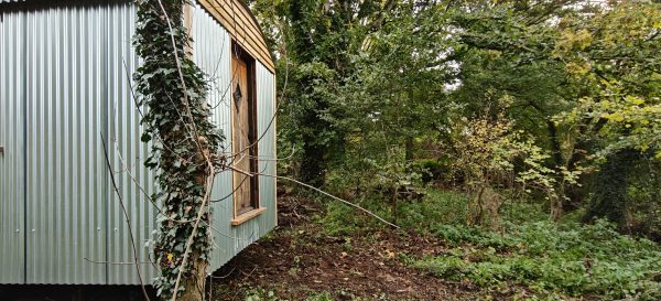 Family Camp at Abington Woods - 2–8 August 2026