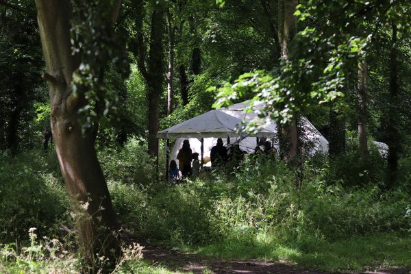 Family Camp at Abington Woods - 2–8 August 2026